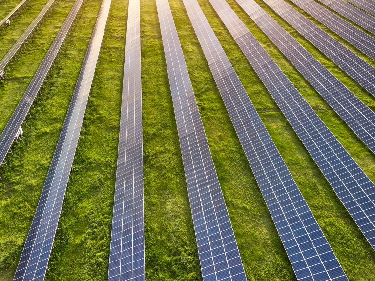 Solar for Forests Project