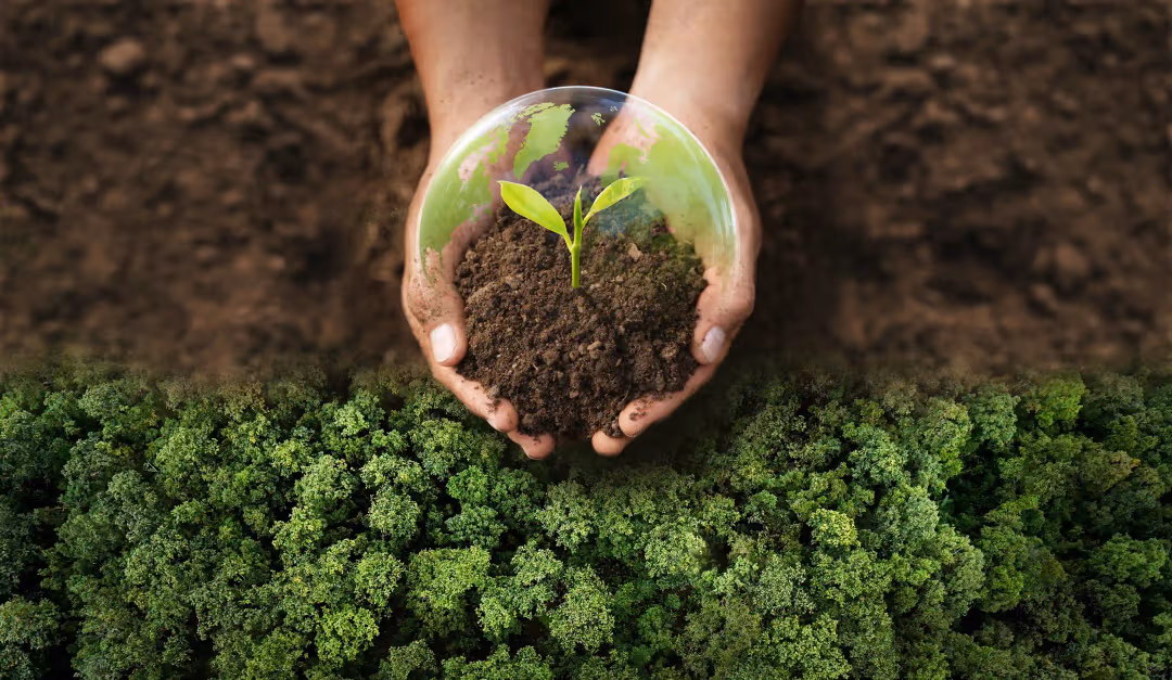 Corporate Social Responsibility Policy