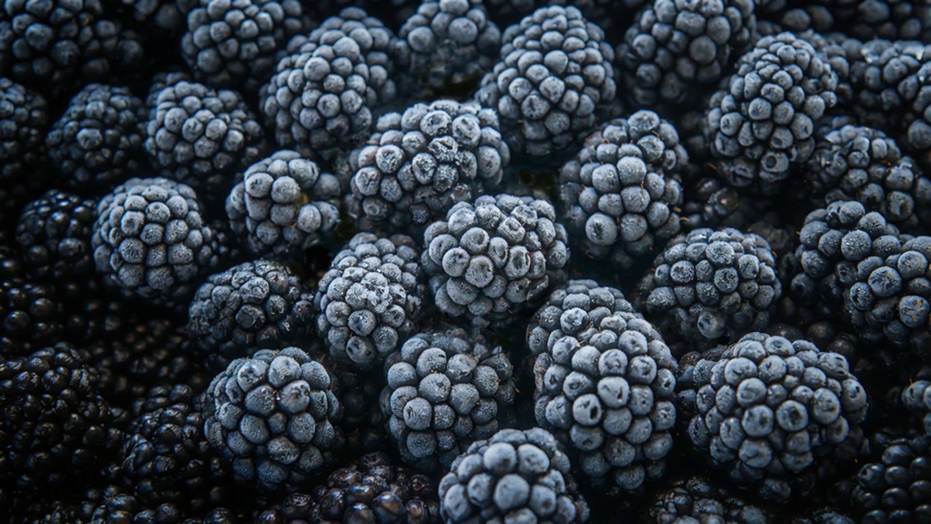Blackberry