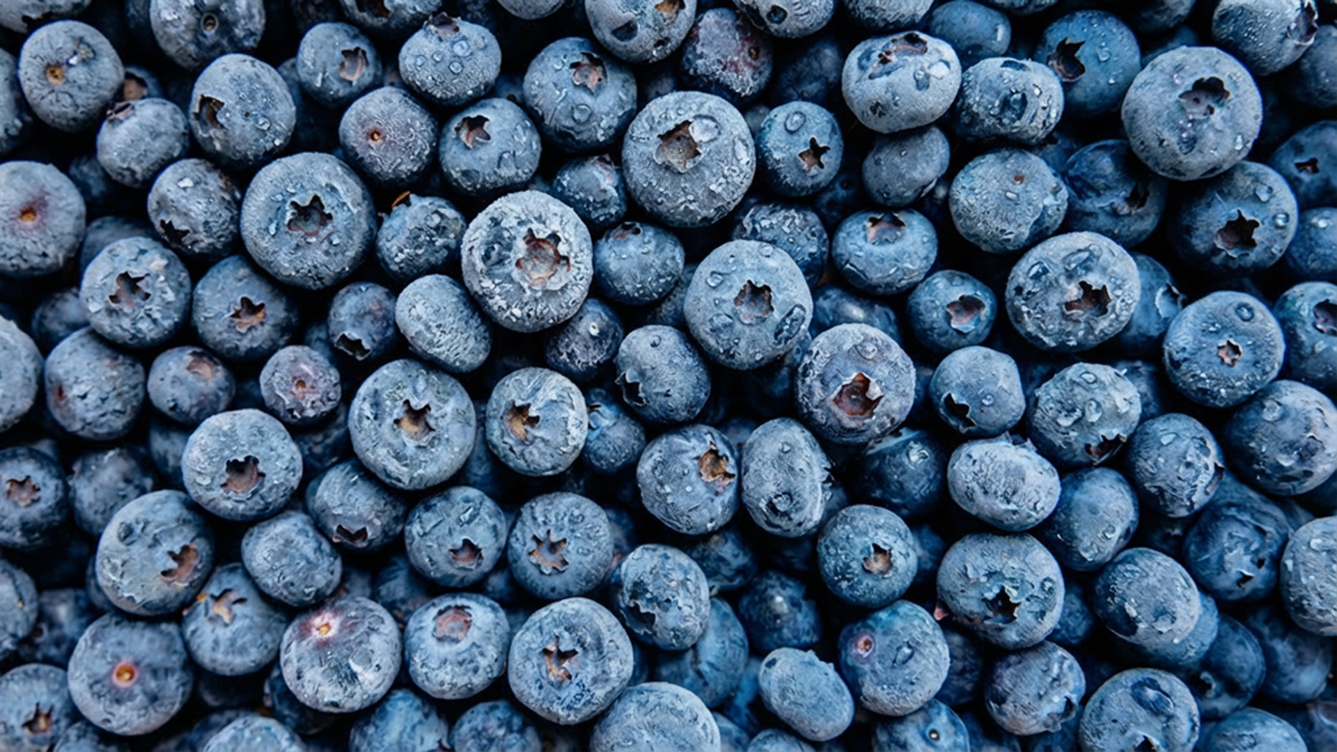 Blueberry