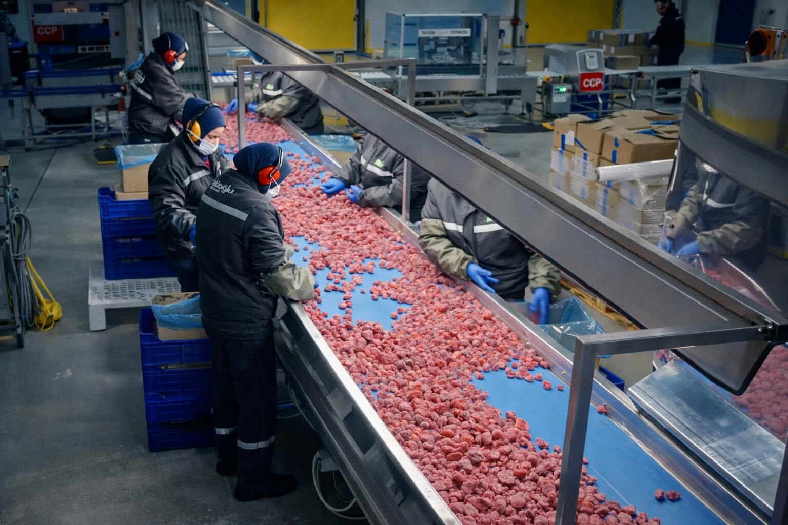 Post-IQF Manual Quality Control
