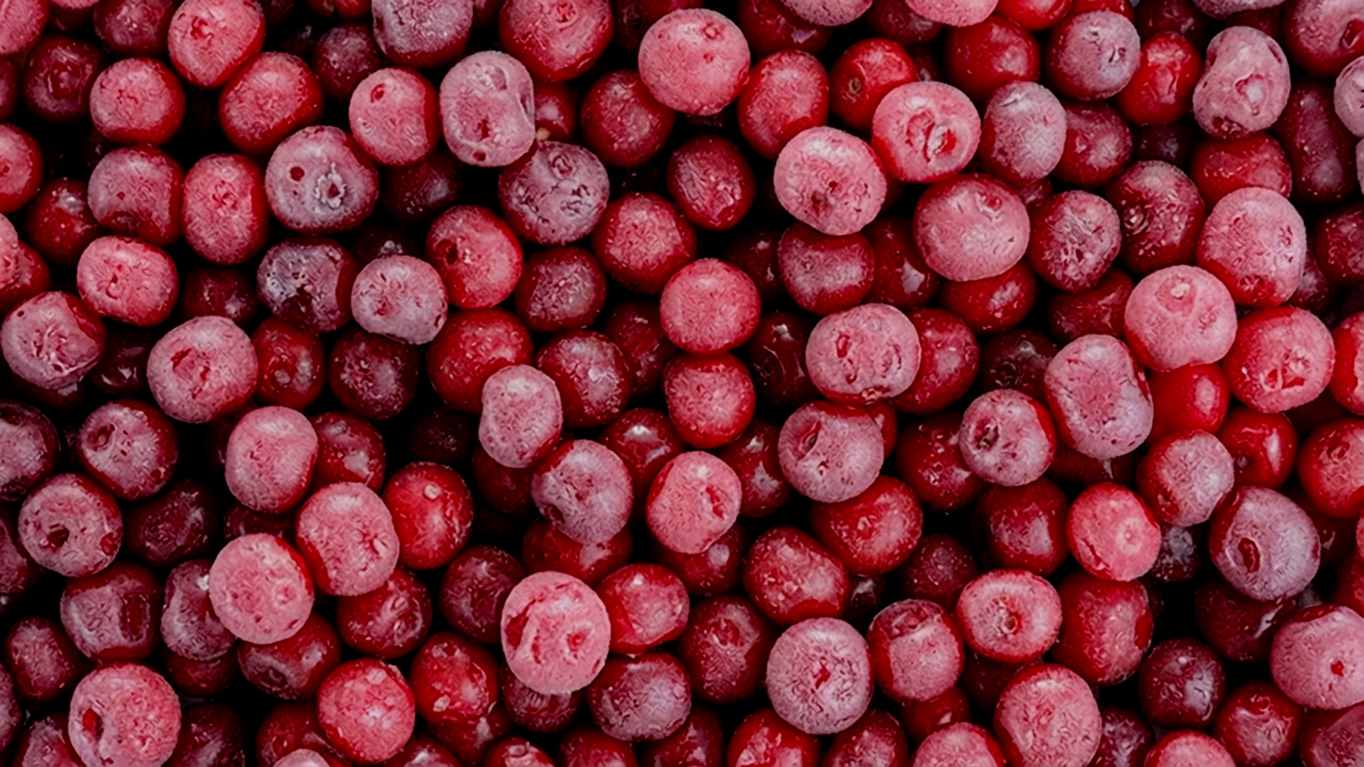 Sour Cherry